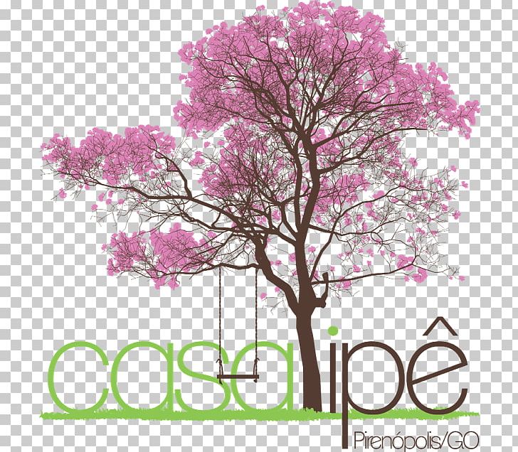 Tree Drawing PNG, Clipart, Adobe Photoshop Elements, Blossom, Branch, Cherry Blossom, Cottonwood Free PNG Download