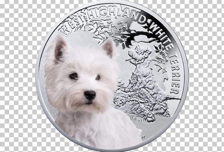 West Highland White Terrier Cairn Terrier Norwich Terrier Dog Breed Yorkshire Terrier PNG, Clipart, Cairn Terrier, Dog Breed, Norwich Terrier, West Highland Terrier, West Highland White Terrier Free PNG Download