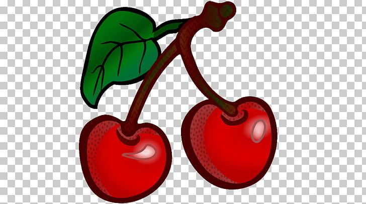 Cherry Fruit PNG, Clipart, Apple, Auglis, Cherry, Cherry Blossom, Computer Icons Free PNG Download