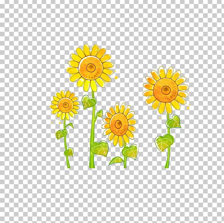Common Sunflower Doll Drawing Illustration PNG, Clipart, Cartoon, Dahlia, Daisy Family, Flower, Flower Arranging Free PNG Download