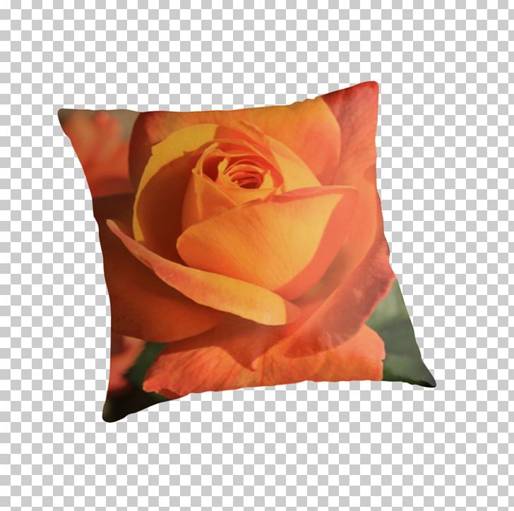 Garden Roses Throw Pillows Cushion PNG, Clipart, Cushion, Flower, Furniture, Garden, Garden Roses Free PNG Download
