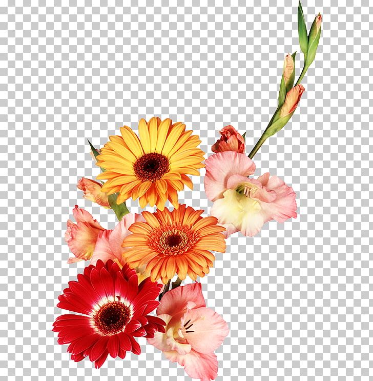 Siberian Polytechnic College Auchan City Flower PNG, Clipart, Annual Plant, Artificial Flower, Cut Flowers, Daisy, Daisy Family Free PNG Download