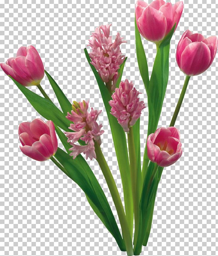 Flower Tulip Garden Roses PNG, Clipart, Bud, Color, Cut Flowers, Flower, Flower Bouquet Free PNG Download
