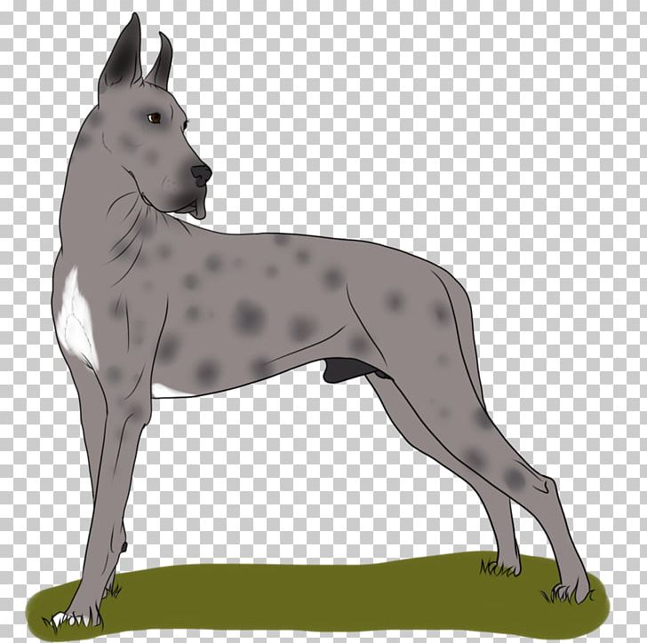 Great Dane Dog Breed Non-sporting Group PNG, Clipart, Breed, Carnivoran, Dog, Dog Breed, Dog Like Mammal Free PNG Download