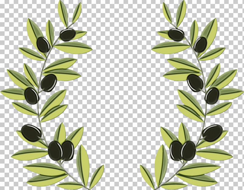 Leaf Plant Tree Branch Flower PNG, Clipart, Branch, Flower, Leaf, Olive, Paint Free PNG Download