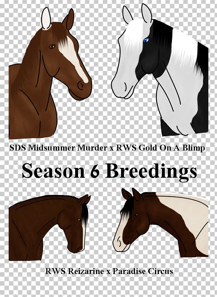 Mustang Stallion Halter Pack Animal Rein PNG, Clipart,  Free PNG Download