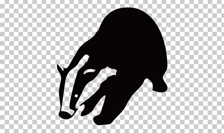 Badger PNG, Clipart, Badger Free PNG Download