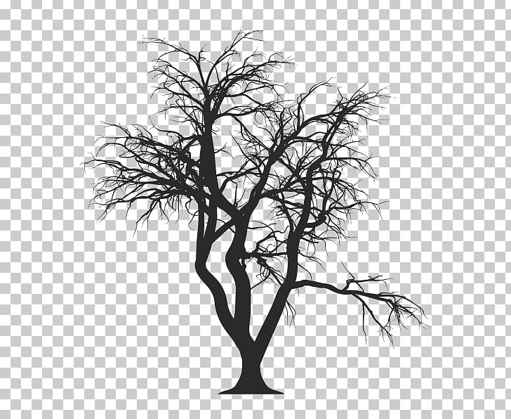 Tree Drawing Photography PNG, Clipart, Art, Black And White, Branch, Deciduous, Drawing Free PNG Download