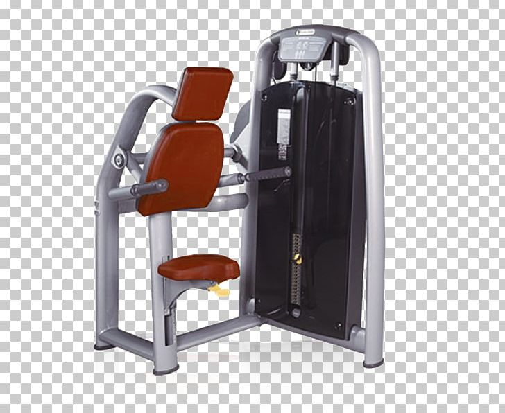 Triceps Brachii Muscle Dip Exercise Machine Lying Triceps Extensions Biceps PNG, Clipart, Biceps, Biceps Curl, Chair, Dip, Exercise Free PNG Download