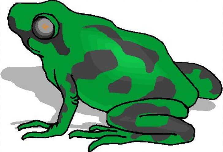 True Frog Amphibian Lithobates Clamitans PNG, Clipart, Amphibian, Animal, Animal Figure, Animals, Artwork Free PNG Download
