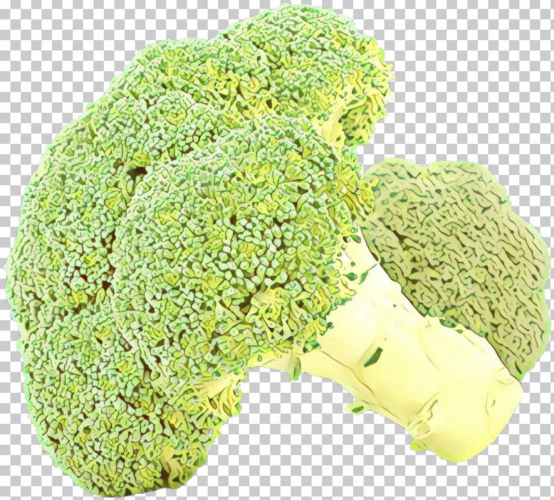 Broccoli Leaf Vegetable Food Wild Cabbage Plant PNG, Clipart, Broccoli, Cabbage, Food, Leaf Vegetable, Plant Free PNG Download