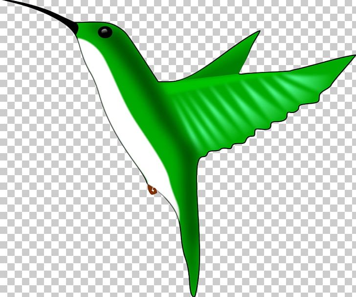 Hummingbird Free Content PNG, Clipart, Beak, Bird, Cartoon, Download, Drawing Free PNG Download
