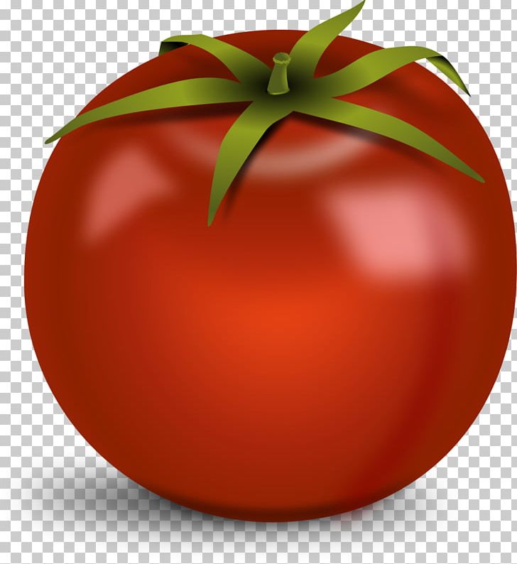 Tomato Juice Desktop Vegetable PNG, Clipart, Bush Tomato, Cherry Tomato, Christmas Ornament, Desktop Wallpaper, Diet Food Free PNG Download