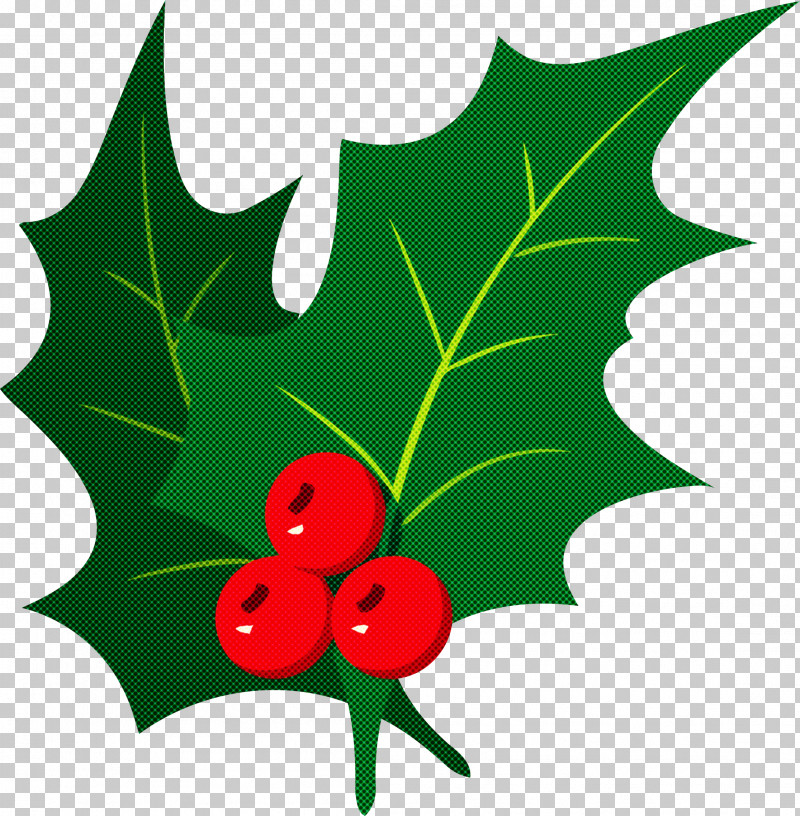 Christmas Ornament Merry Christmas Christmas Decoration PNG, Clipart, American Holly, Christmas Decoration, Christmas Ornament, Currant, Flower Free PNG Download