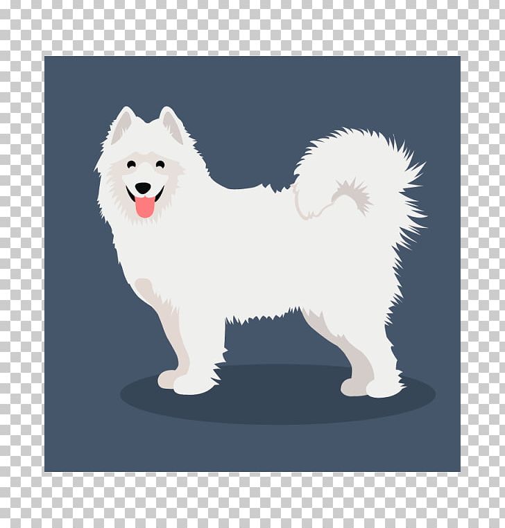 German Spitz Klein German Spitz Mittel American Eskimo Dog Japanese Spitz Canadian Eskimo Dog PNG, Clipart, American Eskimo Dog, Breed Group Dog, Carnivoran, Companion Dog, Dog Breed Free PNG Download