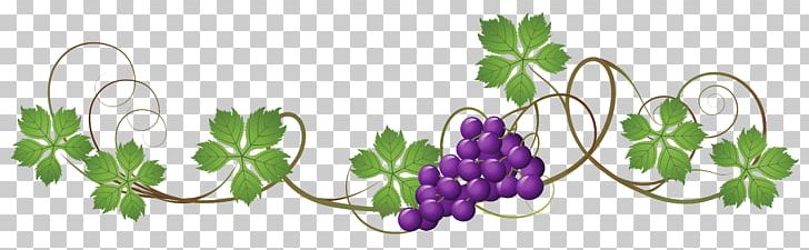 Grapevines Grape Leaves PNG, Clipart, Branch, Clip Art, Encapsulated Postscript, Floral Design, Flower Free PNG Download
