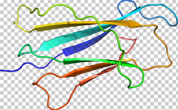 Line Point Organism PNG, Clipart, Alpha 2, Area, Art, Beta, Hoca Free PNG Download