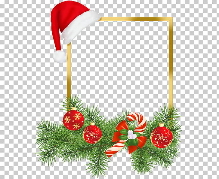 Santa Claus Christmas Photography PNG, Clipart, Christmas, Christmas Decoration, Conifer, Decor, Fir Free PNG Download