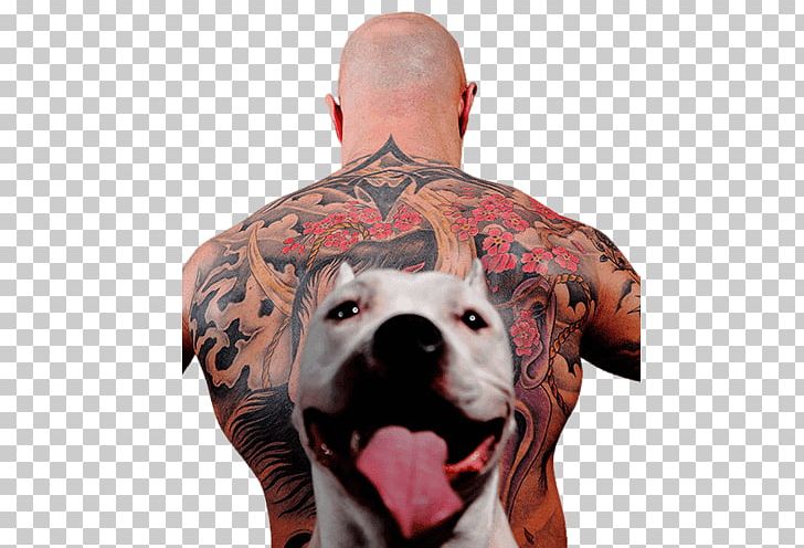 Tattoo Human Back Dog Breed Fashion PNG, Clipart, Analisi Delle Serie Storiche, Arm, Bull Terrier, Carnivoran, Dog Free PNG Download