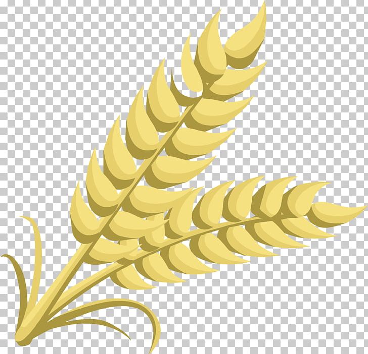 Wheat Cereal Ear PNG, Clipart, Cereal, Commodity, Download, Ear, Food Free PNG Download