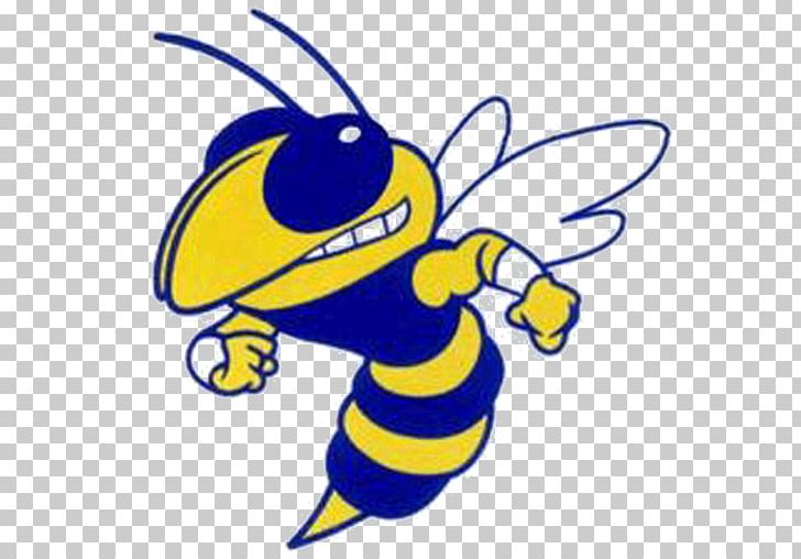 Georgia Institute Of Technology Georgia Tech Yellow Jackets Football Georgia Tech Yellow Jackets Women's Basketball Yellowjacket PNG, Clipart,  Free PNG Download