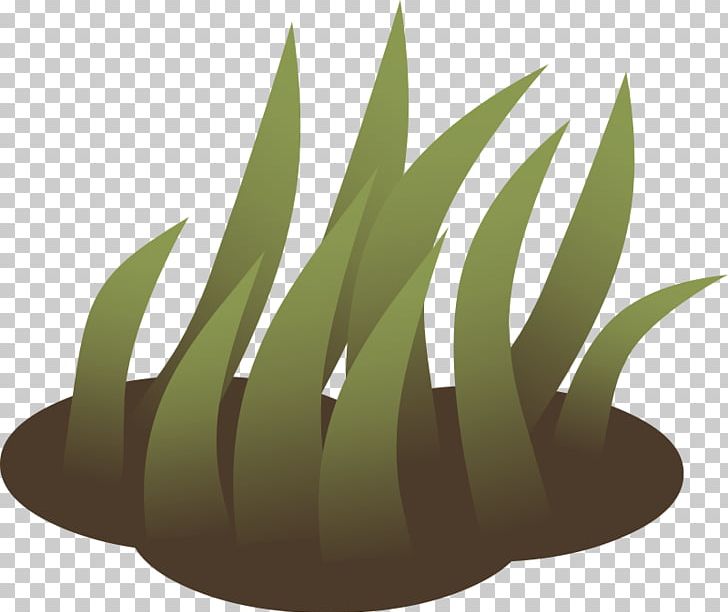 Lawn Grass PNG, Clipart, Commodity, Computer Icons, Grass, Green, Lawn Free PNG Download
