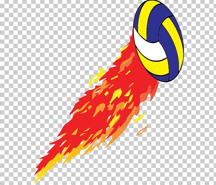 Volleyball Sports PNG, Clipart, Ball, Beak, Bird, Football, Golf Balls Free PNG Download