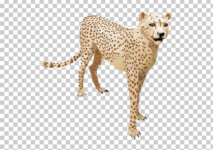 Cheetah Leopard Felinae PNG, Clipart, Animal, Animals, Big Cats, Carnivoran, Cat Like Mammal Free PNG Download