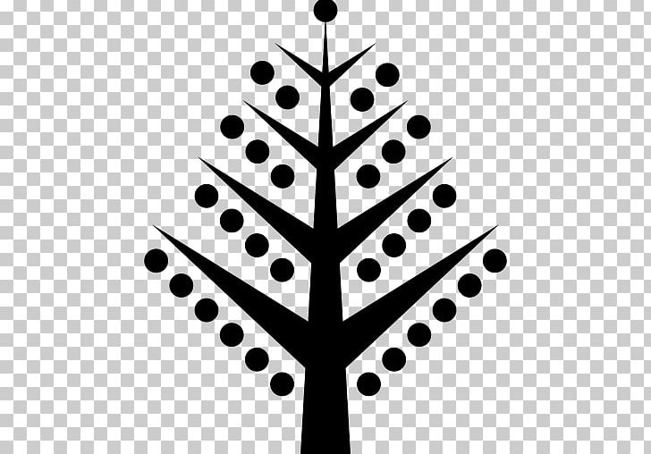 Computer Icons Christmas Tree PNG, Clipart, Black And White, Branch, Christmas, Christmas Tree, Computer Icons Free PNG Download