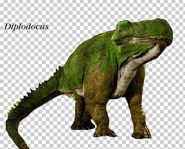 Diplodocus Giganotosaurus Wannanosaurus Megalosaurus Fabrosaurus PNG, Clipart, 8 Th, Allosaurus, Apatosaurus, Argentinosaurus, Dinosaur Free PNG Download