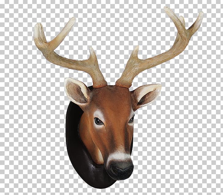 Reindeer Elk White-tailed Deer Antler PNG, Clipart, Animal, Animals, Antler, Deer, Elk Free PNG Download