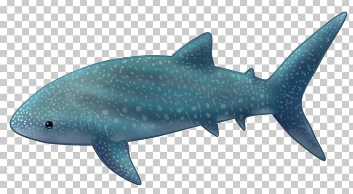 Requiem Sharks Whale Shark Squaliform Sharks Cetaceans Drawing PNG, Clipart, Animal, Animal Figure, Beluga Whale, Cartilaginous Fish, Child Free PNG Download