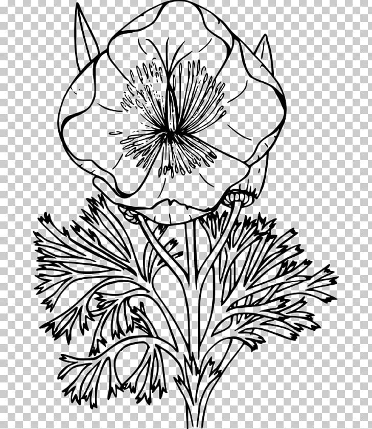 California Poppy Coloring Book Drawing PNG, Clipart, Black And White, California Poppy, Child, Color, Colored Pencil Free PNG Download