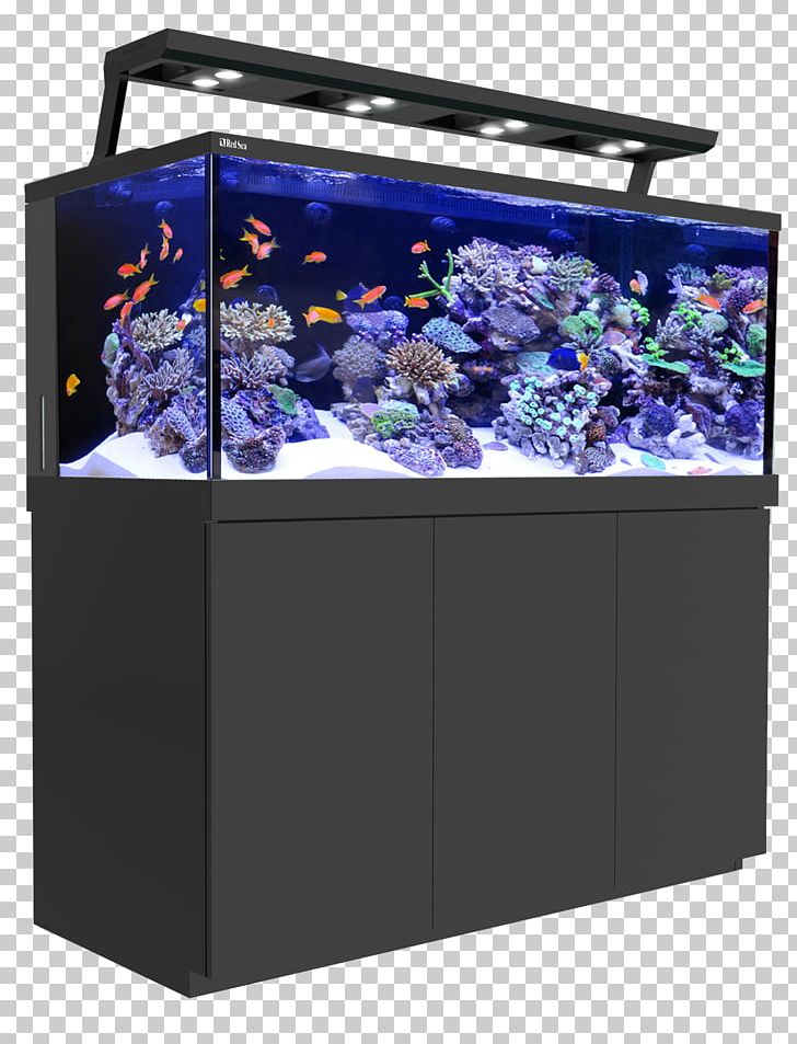 coral aquarium clipart
