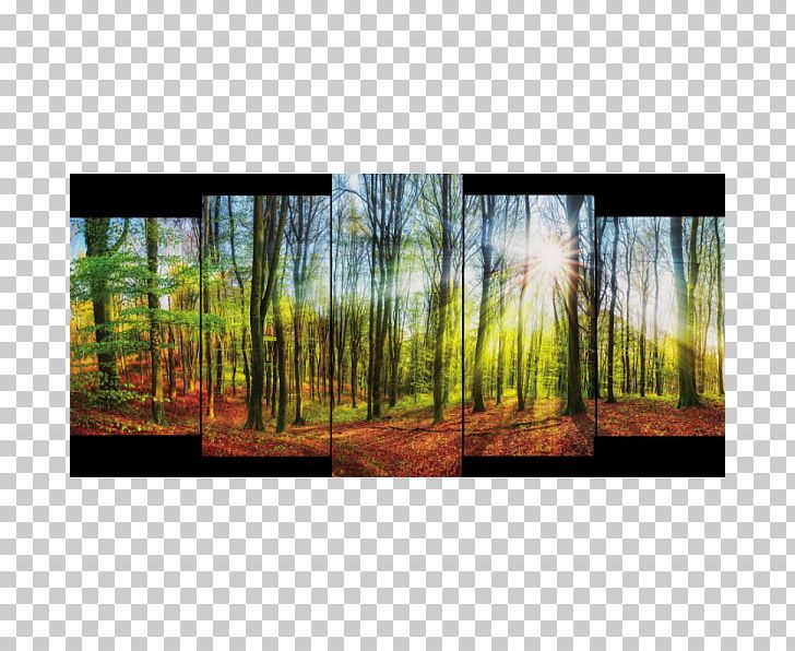 Stock Photography Hunting Painting PNG, Clipart, Canvas, Ecosystem, Forest, Forest Decoration, Grass Free PNG Download