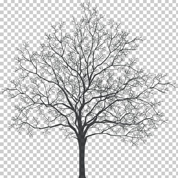 Tree PNG, Clipart, Black And White, Branch, Digital Image, Download, Encapsulated Postscript Free PNG Download