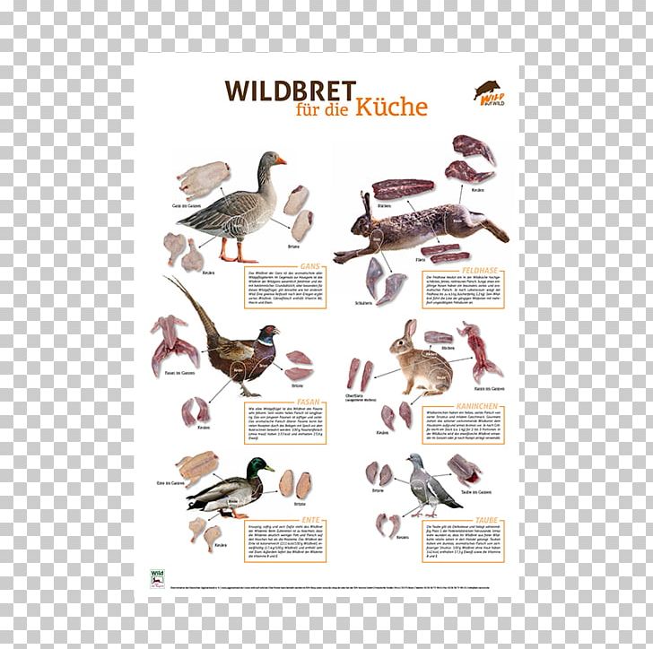 Weingut Fleck Hunting Selzen Hunter Wallhausen PNG, Clipart, Bird, Dog, Fauna, Germany, Hunter Free PNG Download