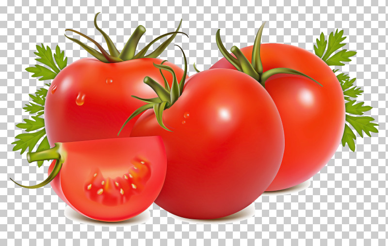 Tomato PNG, Clipart, Bush Tomato, Food, Fruit, Local Food, Natural Foods Free PNG Download