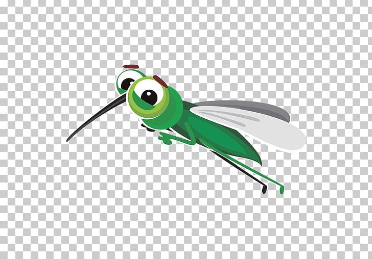 Mosquito Insect Animation PNG, Clipart, Animation, Cartoon, Download, Drawing, Encapsulated Postscript Free PNG Download