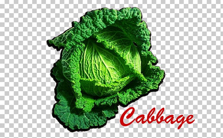 Portable Network Graphics Cabbage Leaf Transparency PNG, Clipart, Cabbage, Display Resolution, Download, Green, Greens Free PNG Download