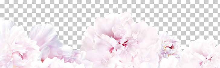 Floral Design Spring Cherry Blossom Cut Flowers PNG, Clipart, Blossom, Computer Wallpaper, Decorative Material, Design, Desktop Wallpaper Free PNG Download