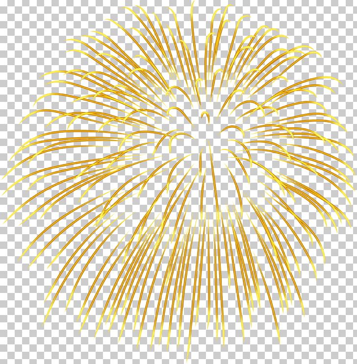 Fireworks PNG, Clipart, Arecales, Circle, Clip Art, Color, Computer Free PNG Download