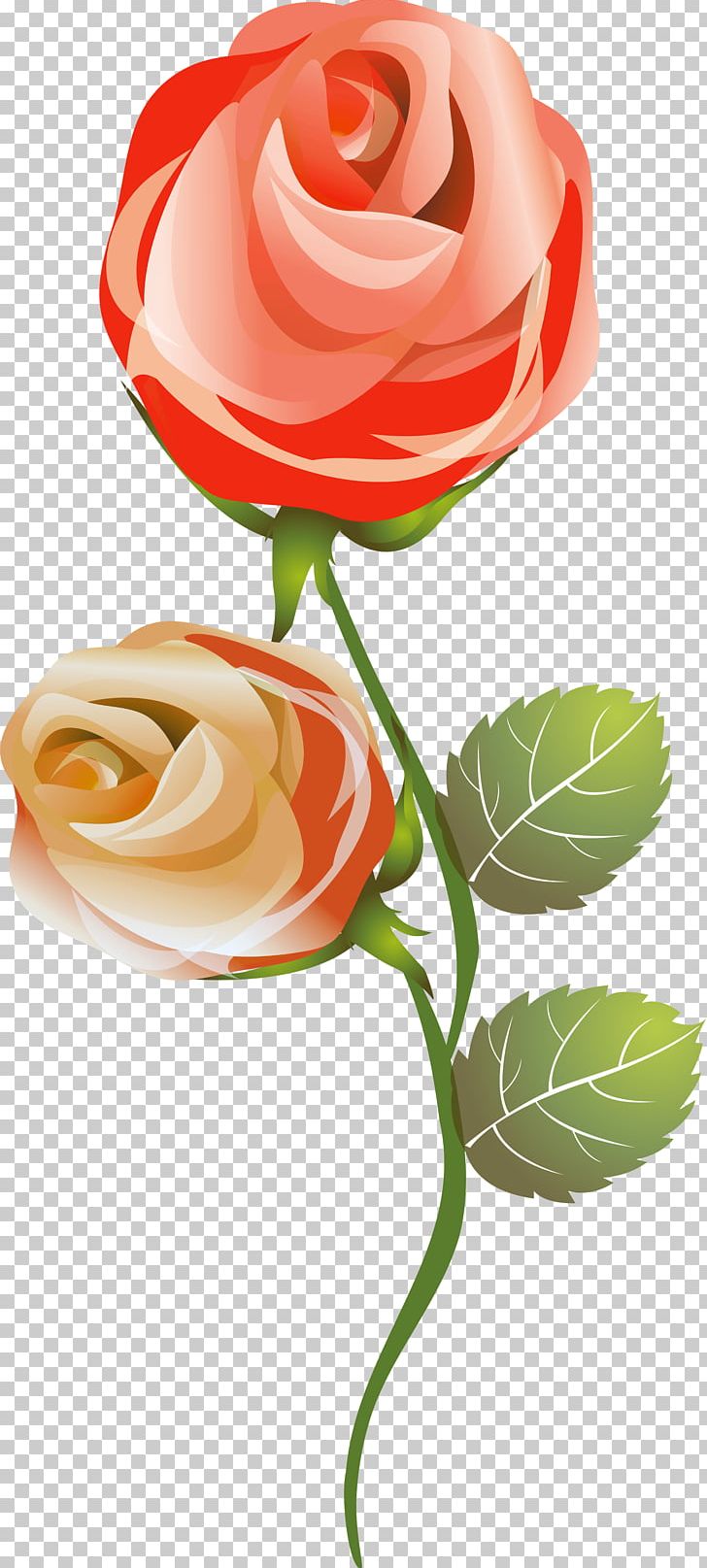 Garden Roses Love Cut Flowers PNG, Clipart, Cut Flowers, Family, Floral Design, Floristry, Flower Free PNG Download