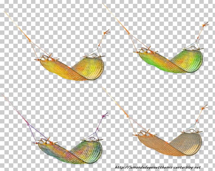 Insect PNG, Clipart, Animals, Insect, Organism Free PNG Download