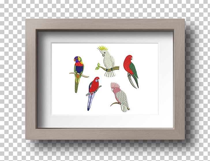 Macaw Parakeet Beak Feather Frames PNG, Clipart, Animals, Beak, Bird, Bird Machine, Feather Free PNG Download