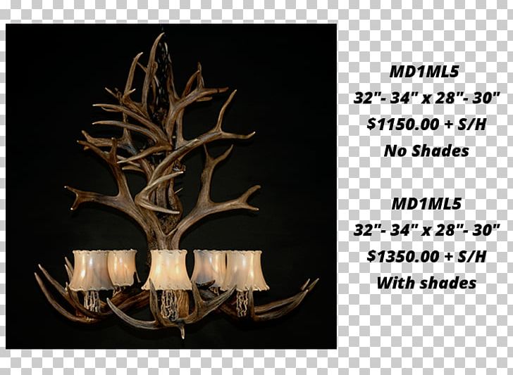 White-tailed Deer Moose Antler Elk PNG, Clipart, Animals, Antler, Antlers By Cody, Branch, Brand Free PNG Download