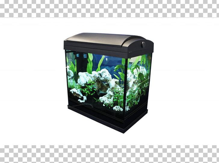 Aquariums Nano Aquarium Dennerle Fish PNG, Clipart, Animal, Animals, Aquarium, Aquariums, Dennerle Free PNG Download