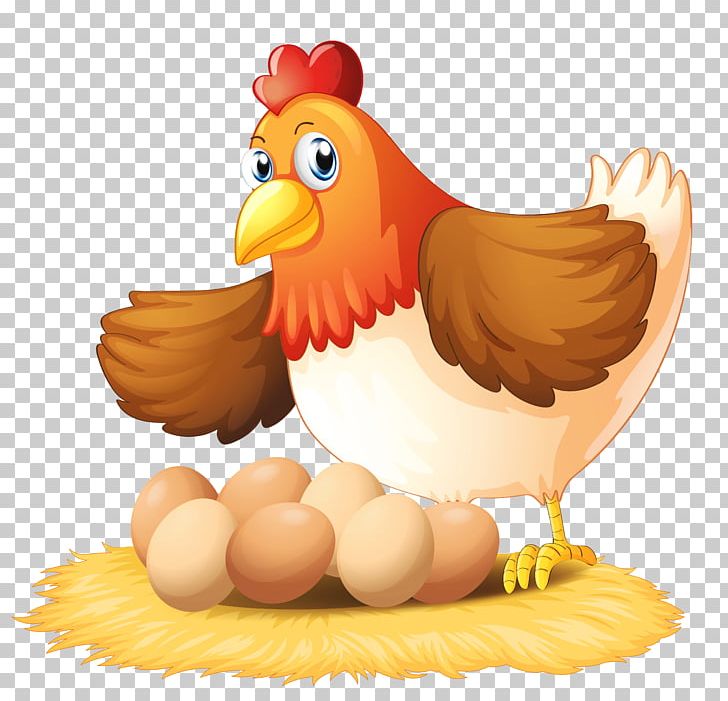 Chicken Egg PNG, Clipart, Beak, Bird, Chicken, Chicken Egg, Chicken Or The Egg Free PNG Download
