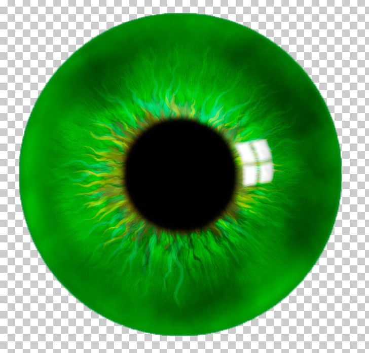 Green Close-up Eyelash PNG, Clipart, Circle, Closeup, Closeup, Eye, Eyelash Free PNG Download