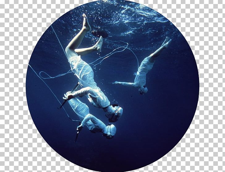 Mikimoto Pearl Island Ama Pearl Hunting Underwater Diving PNG, Clipart, Akoya Pearl Oyster, Ama, Cultured Pearl, Freediving, Japan Free PNG Download